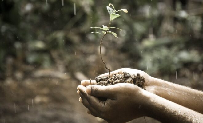 hands plant soil grow growing 1838659